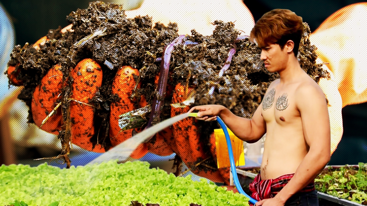 วิถีใหม่ นักร้องหนุ่มร็อก วางไมค์เลี้ยงไส้เดือน ปลูกผักปลอดสาร 