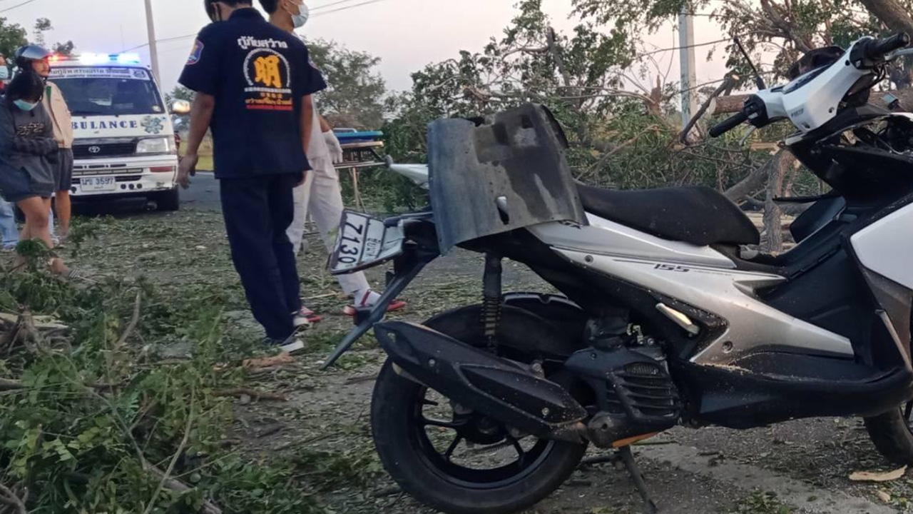 ลมหนาวพัดลมกระโชกแรง ต้นไม้ล้มทับพันจ่าอากาศเอกดับ จังหวะขี่จยย.ผ่านพอดี