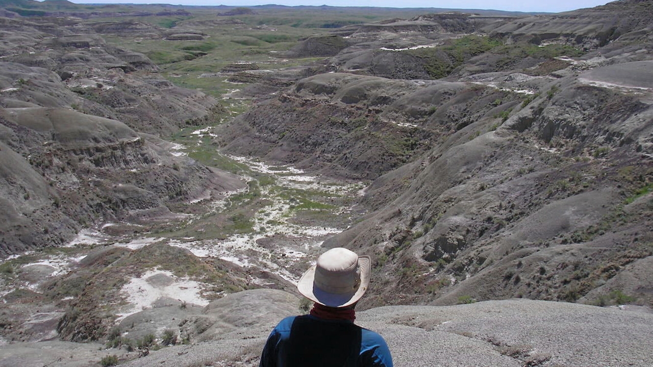 เมื่อไดโนเสาร์หายตัวไป ป่าก็เจริญเติบโต