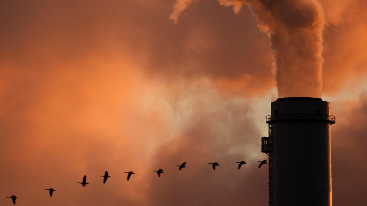 คาดการณ์ระดับก๊าซคาร์บอนไดออกไซด์ปีนี้