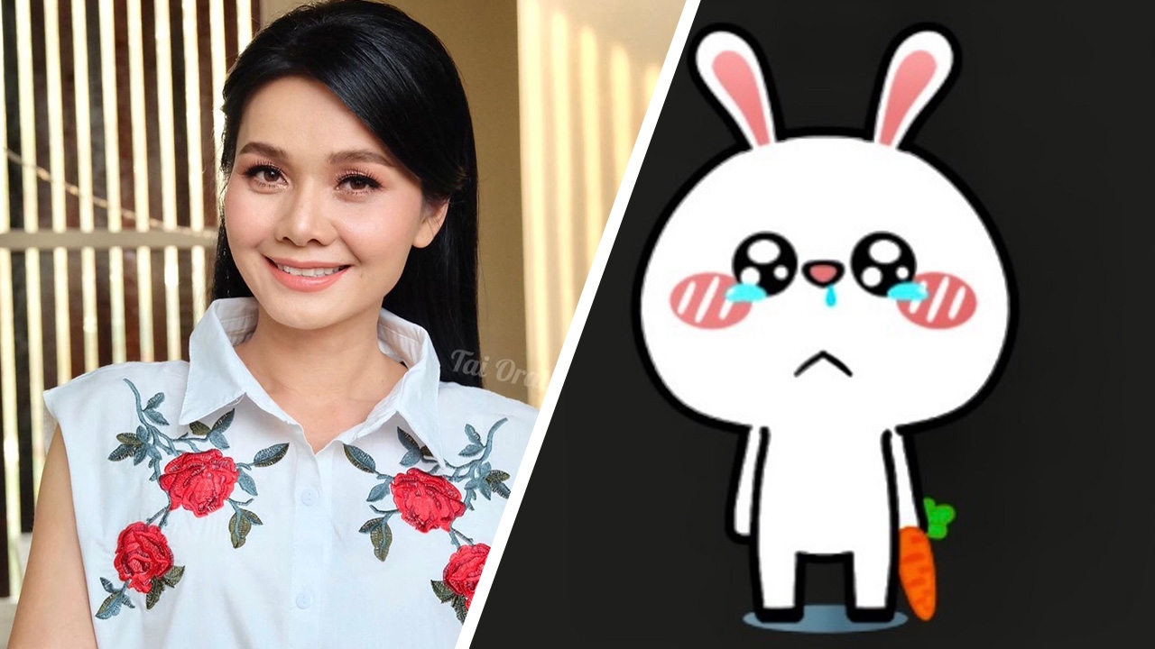 ต่าย อรทัย โพสต์เพลงเศร้าคล้ายคนอกหัก แฟนๆ แห่ให้กำลังใจล้นหลาม 