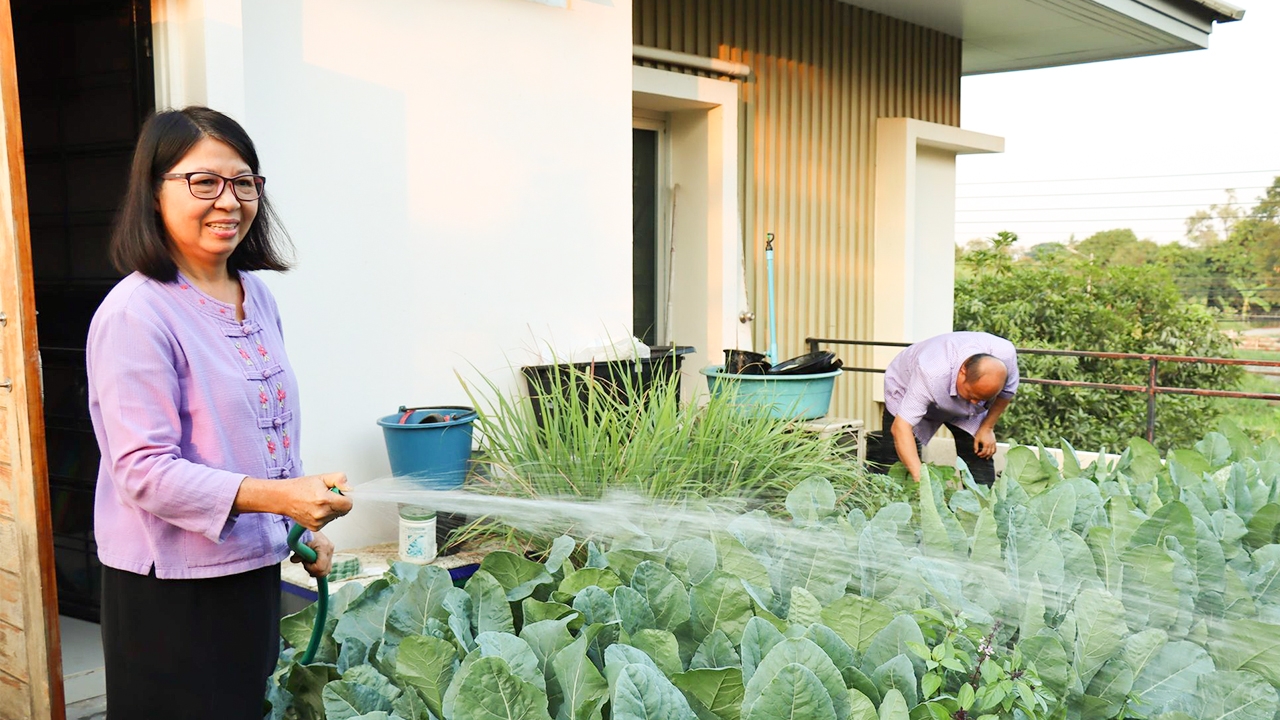 มีความสุขอยู่กับบ้าน สองครู "ปลูกผักบนดาดฟ้า" วิถีใหม่สู้ไวรัส