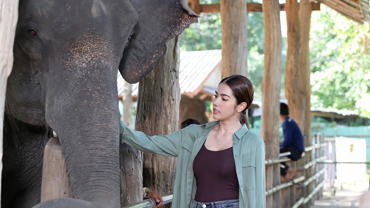 “เกรซ” นางเอกขวัญใจช้าง เล่าประสบการณ์สุดปลื้มใน “ปิ่นไพร”