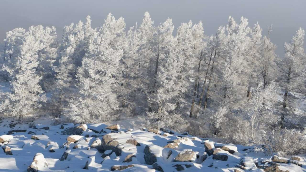 ฤดูหนาวที่ไม่เหงา ชมวิวสวยสุดสายตาจากสถานที่ท่องเที่ยวในจีน