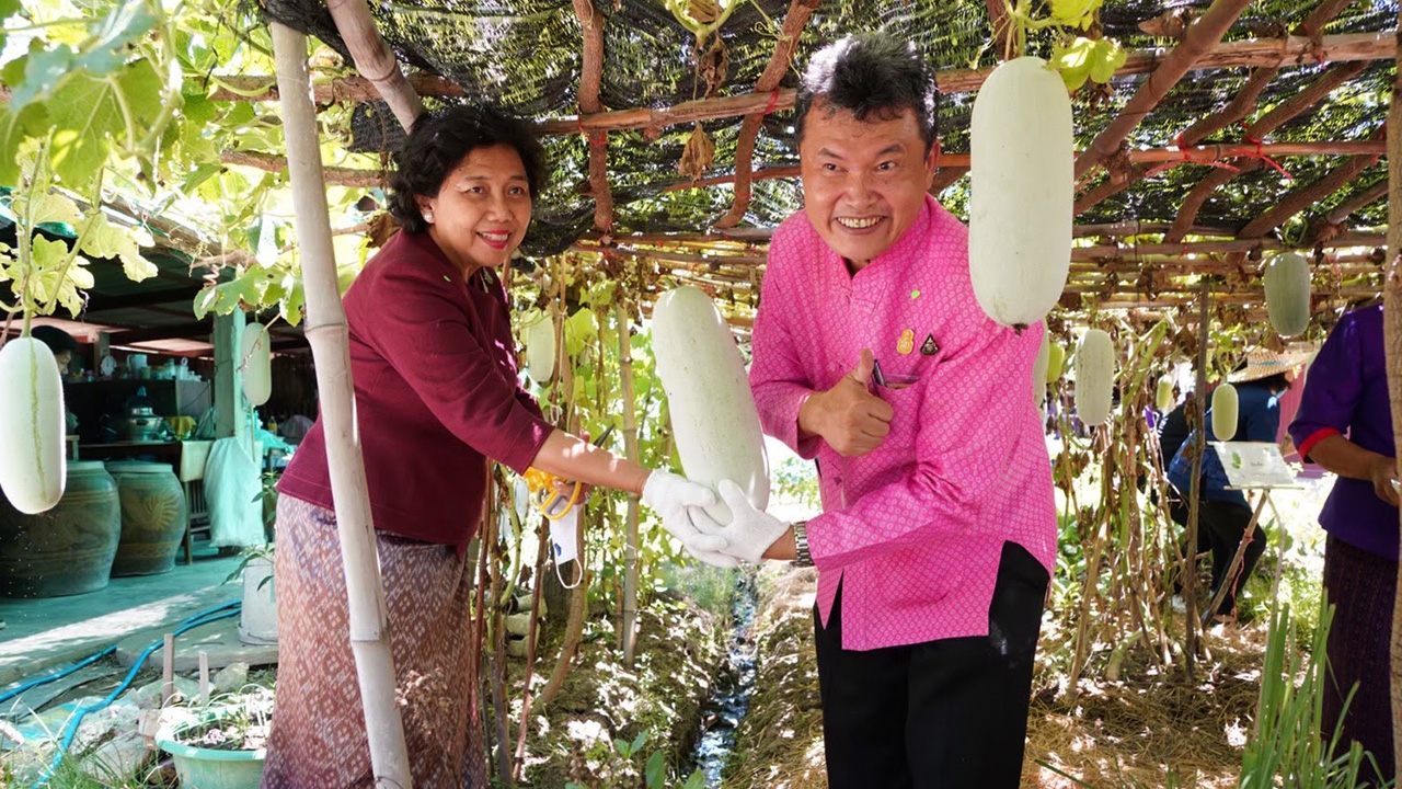 พช.ชวนปลูกผักสวนครัว สร้างความมั่นคงด้านอาหาร สู้ภัยโควิด