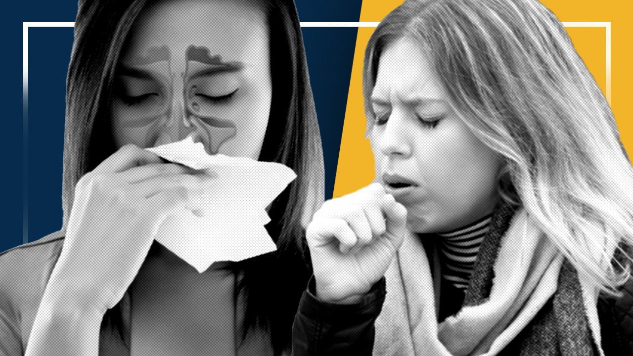 เปรียบเทียบ อาการหวัด กับ ไซนัสอักเสบ แตกต่างกันอย่างไร ใครก็ป่วยได้ แนะวิธีป้องกัน