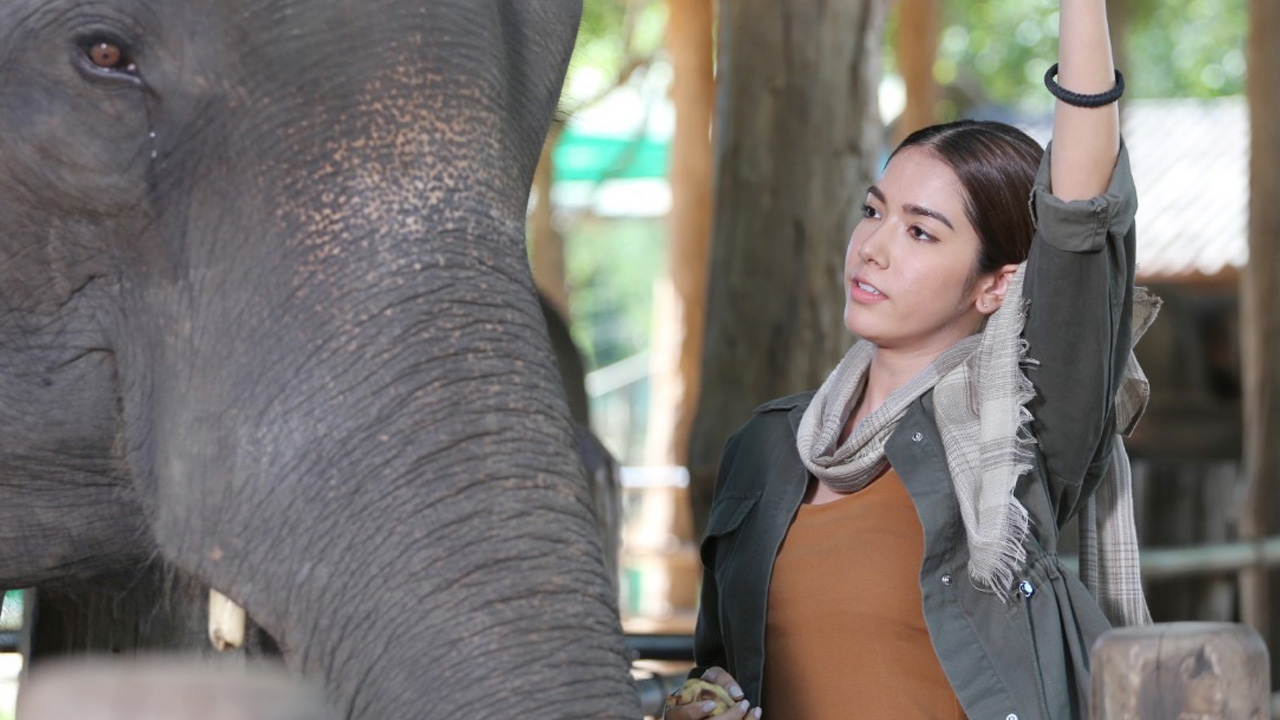 “เกรซ พัชร์สิตา” เล่าประสบการณ์สุดปลื้มใน “ปิ่นไพร”