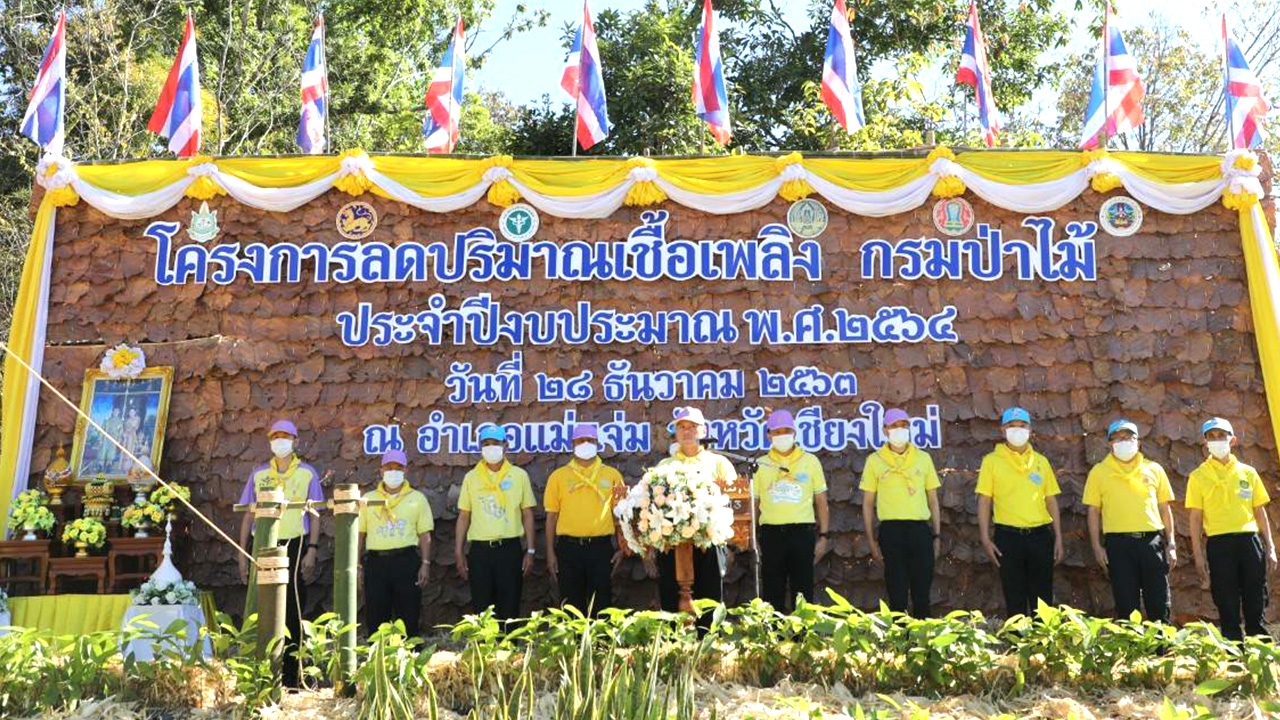 ทส.เปิด ลดปริมาณเชื้อเพลิง ‘ชิงเก็บก่อน’ 10 จ.ภาคเหนือ ลดไฟป่า-PM 2.5 