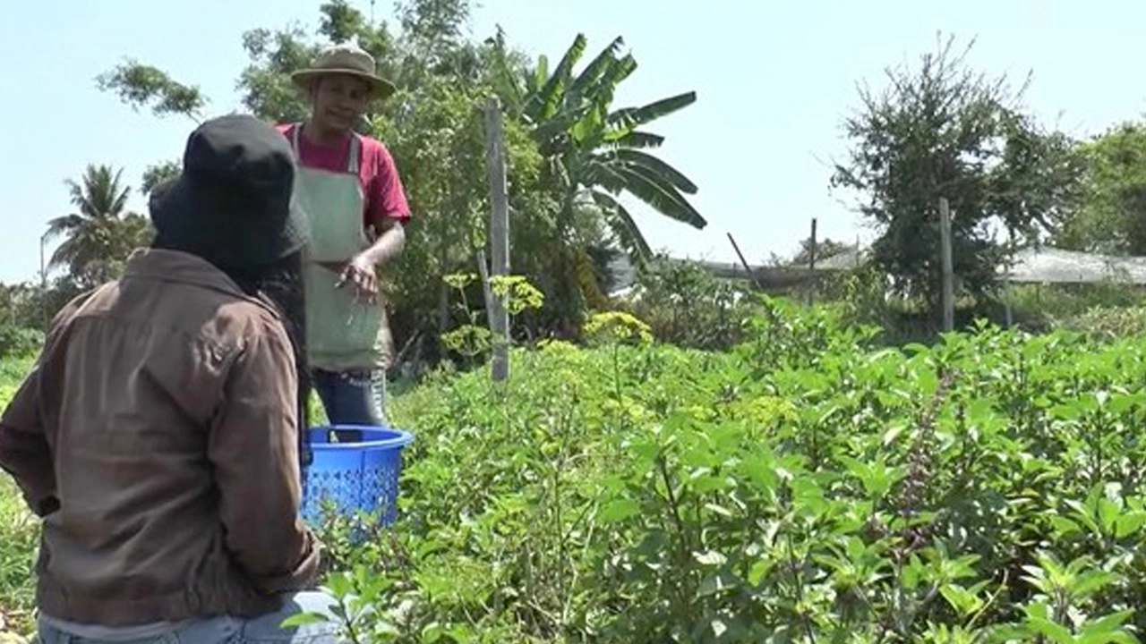 ทุกข์พ่อค้าแม่ค้าโลว์เทค ยอดขายตกเพราะไร้สมาร์ทโฟน อดร่วมโครงการเราชนะ