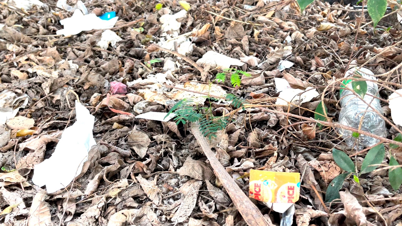 ชาวเชียงใหม่แฉ "ชายรักชาย" ยึดใต้สะพาน ค้ากาม มั่วเซ็กซ์ วอนรัฐแก้ไข