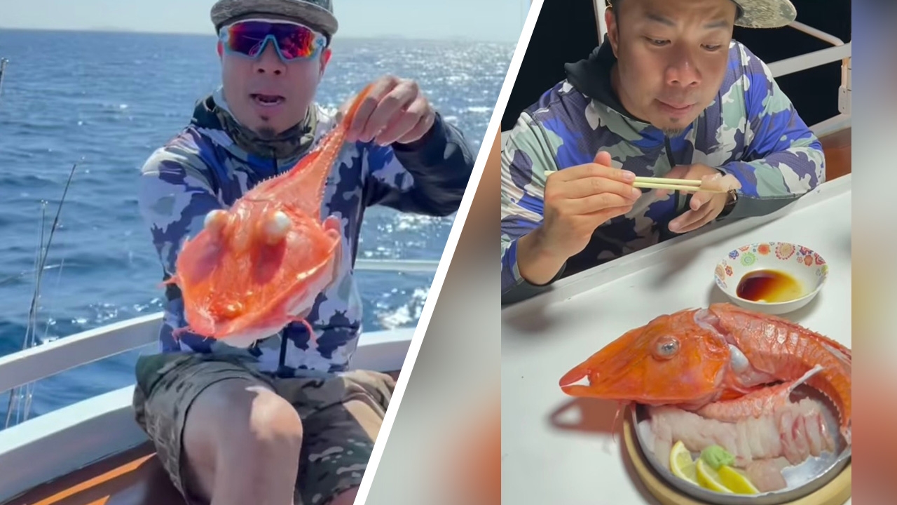 โซเชียลถาม ดีเจภูมิ ต้องกินทุกอย่างเหรอ หลังตกปลาซักเกอร์ชิมเนื้อกลางทะเล (คลิป)