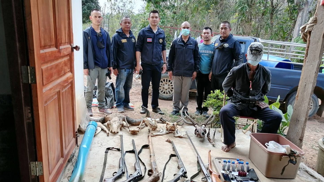 ปทส.ล่อซื้อเขาวัวแดง ก่อนขยายผลยึดได้เพียบ กะโหลกกวางป่า มีซากนกเงือกด้วย