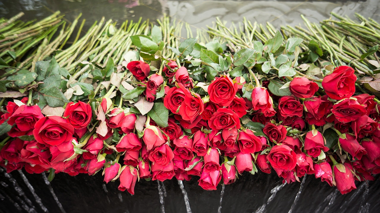 กระทรวงความเหงา