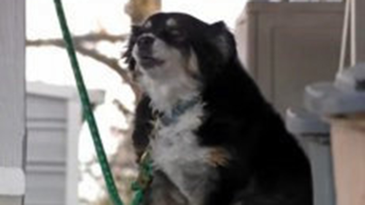 ยินดี...เศรษฐีสี่ขา