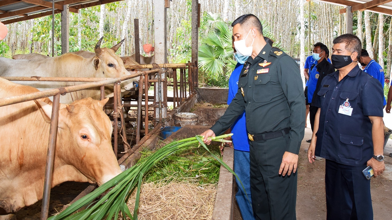 สนภ.4 บูรณาการแก้ปัญหามั่นคงลุย จชต. ลุยสงขลามอบแร่ธาตุ เวชภัณฑ์