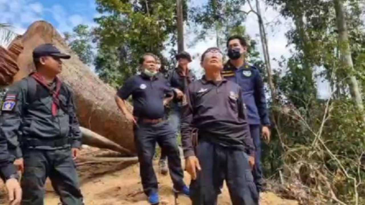 นายทุนบุกป่าชายแดนใต้ จ้างตัดไม้ล้ำค่า อ้างเป็นที่ นส.3 ก.