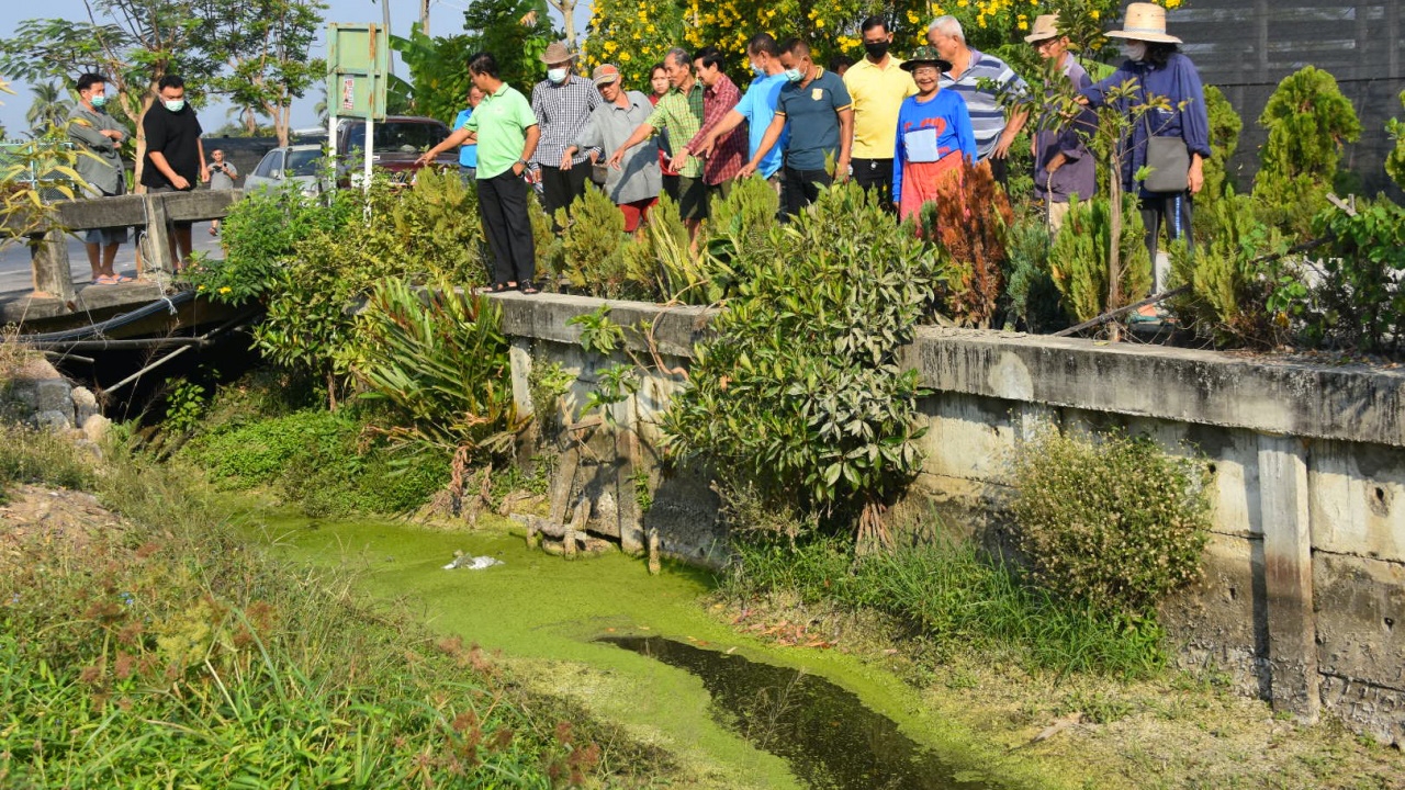 ชาวสวนสามพรานร้อง ปีนี้สาหัส โควิดยังไม่คลาย เจอน้ำเค็มรุกหนัก 