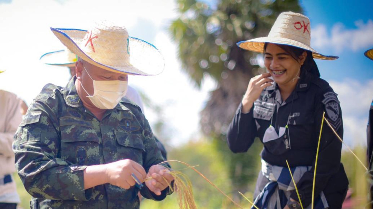 มทภ.4 ร่วมกิจกรรมเกี่ยวข้าว พลิกนาร้าง เป็นนารัก สร้างสันติสุข จชต.