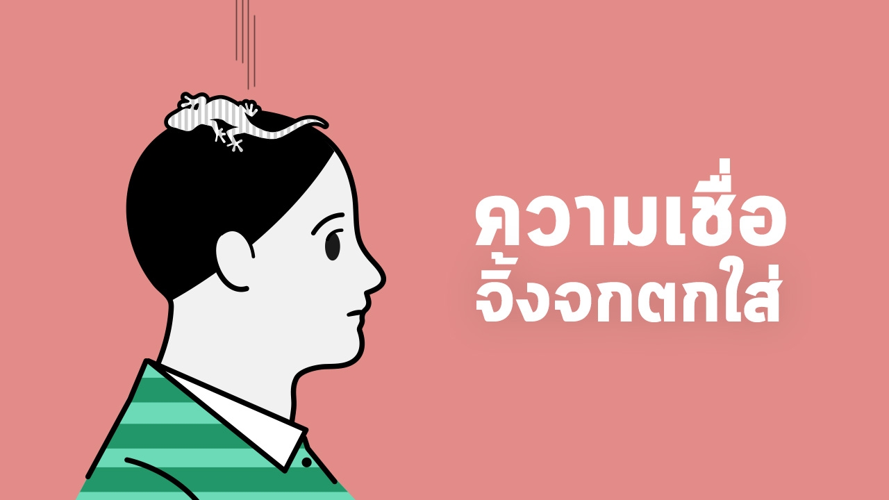 จิ้งจกตกใส่หัว ความเชื่อดีหรือไม่ดี 
