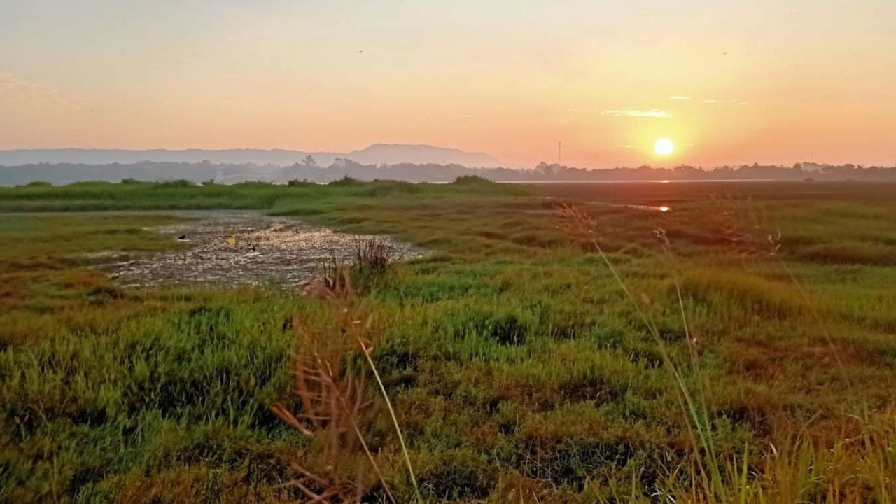 สภาพอากาศวันนี้ เหนือ-อีสานยังหนาว ภาคอื่นอุ่นขึ้น ใต้ฝน ฝุ่นเริ่มสะสม