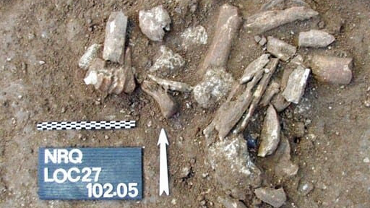 หลักฐานเก่าแก่สุด ในการใช้สัญลักษณ์ของมนุษย์