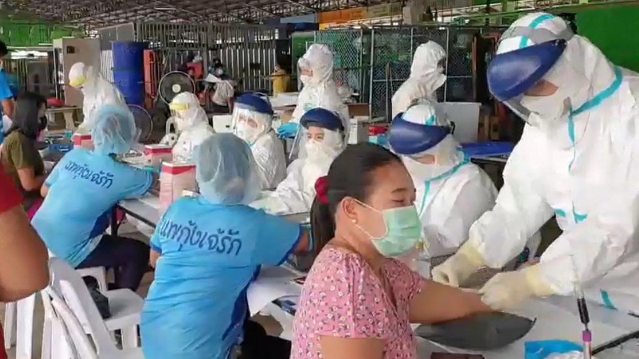 หาภูมิคุ้มกัน