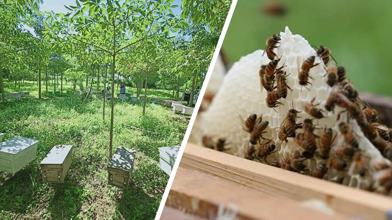 This image is not belong to us