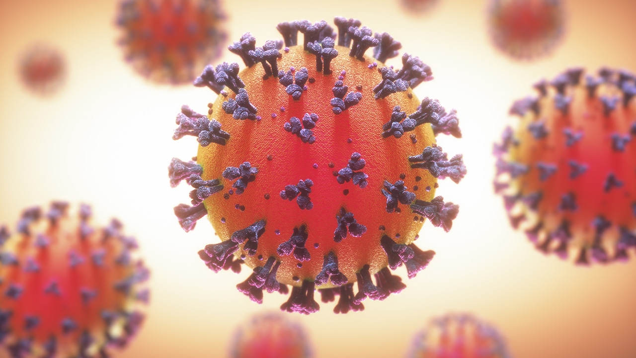 This image is not belong to us