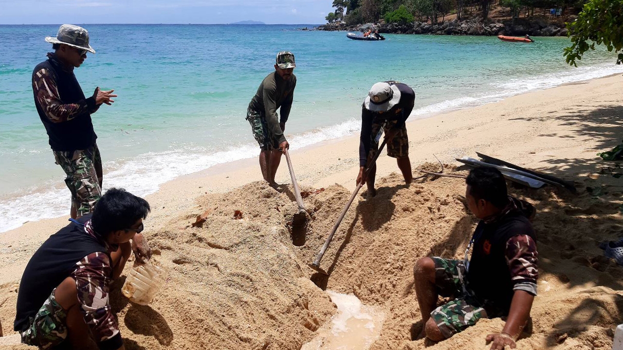 กระบี่พบ "เต่าตนุ" ขึ้นวางไข่บนเกาะไหง ถือเป็นครั้งแรกในรอบหลายสิบปี