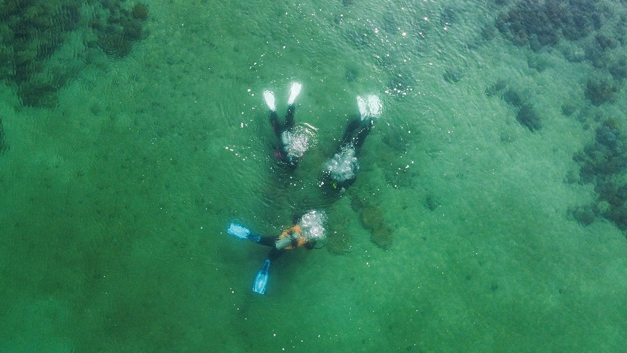 เทคโนโลยีการพิมพ์ 3 มิติกับการอยู่รอดของปะการัง