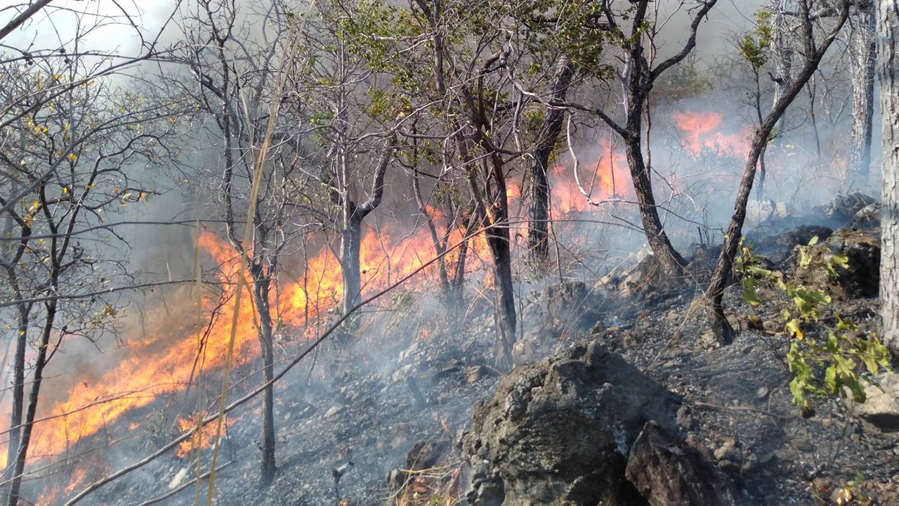 ทส.เร่งระงับเหตุป้องกันไฟป่า แก้ปัญหาหมอกควันในพื้นที่ 17 จ.ภาคเหนือ