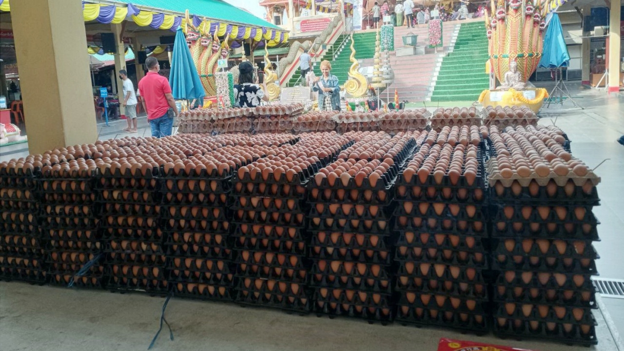 เจ้าของสวนผัก นำไข่ไก่มาแก้บน "หลวงพ่อสมหวัง" ไม่พลาด "เลขเด็ด" ลุ้นโชค