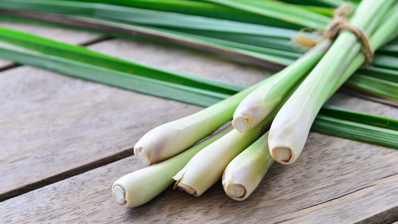 วิธีปักตะไคร้ คติโบราณเพื่อไล่ฝนงานอีเวนต์กลางแจ้ง