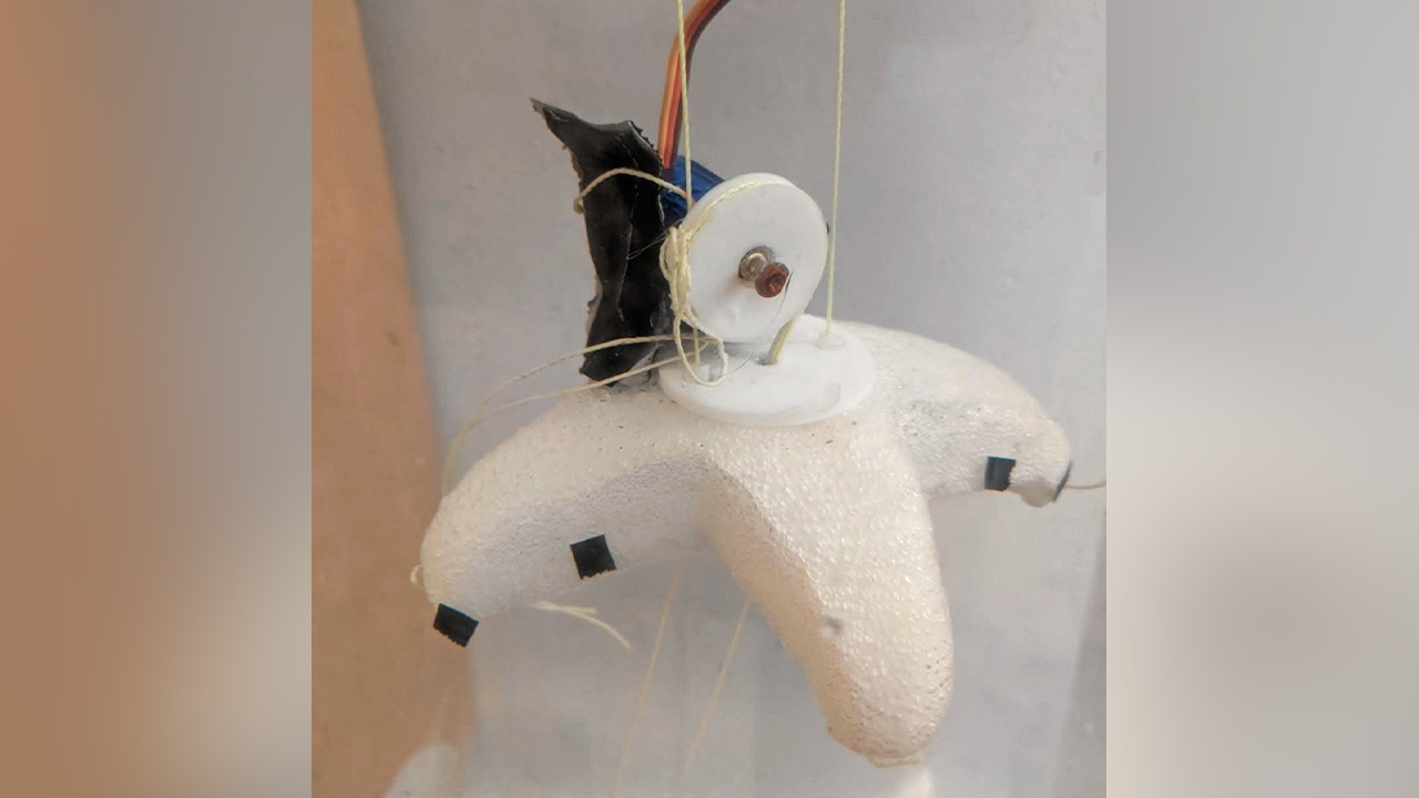 สร้างหุ่นยนต์ปลาดาว เพื่อใช้ศึกษาสิ่งมีชีวิตใต้น้ำแบบใกล้ชิด