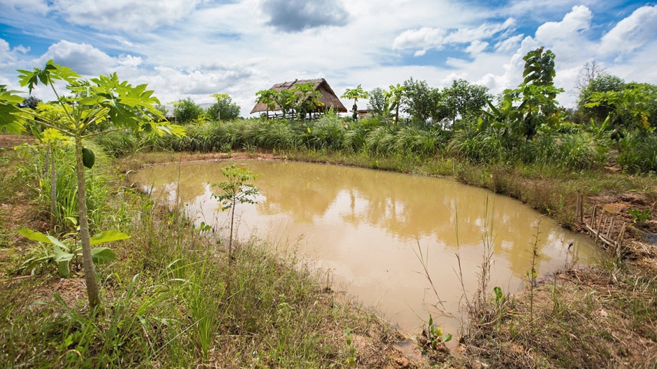 ดันศาสตร์พระราชาเข้ายูเอ็น