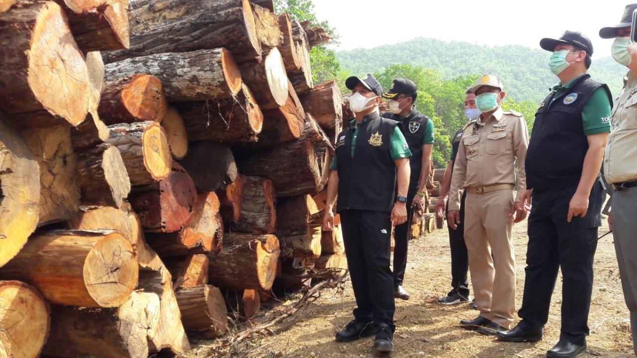 รมว.ทส. เศร้าใจหลังพบไม้ป่าหายาก อายุร่วม 40 ปี ถูกตัดกว่า 400 ท่อน