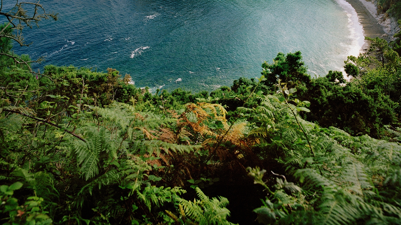 การสูญพันธุ์ครั้งใหญ่ที่สุดในโลก ใช้เวลาบนบกช้ากว่า