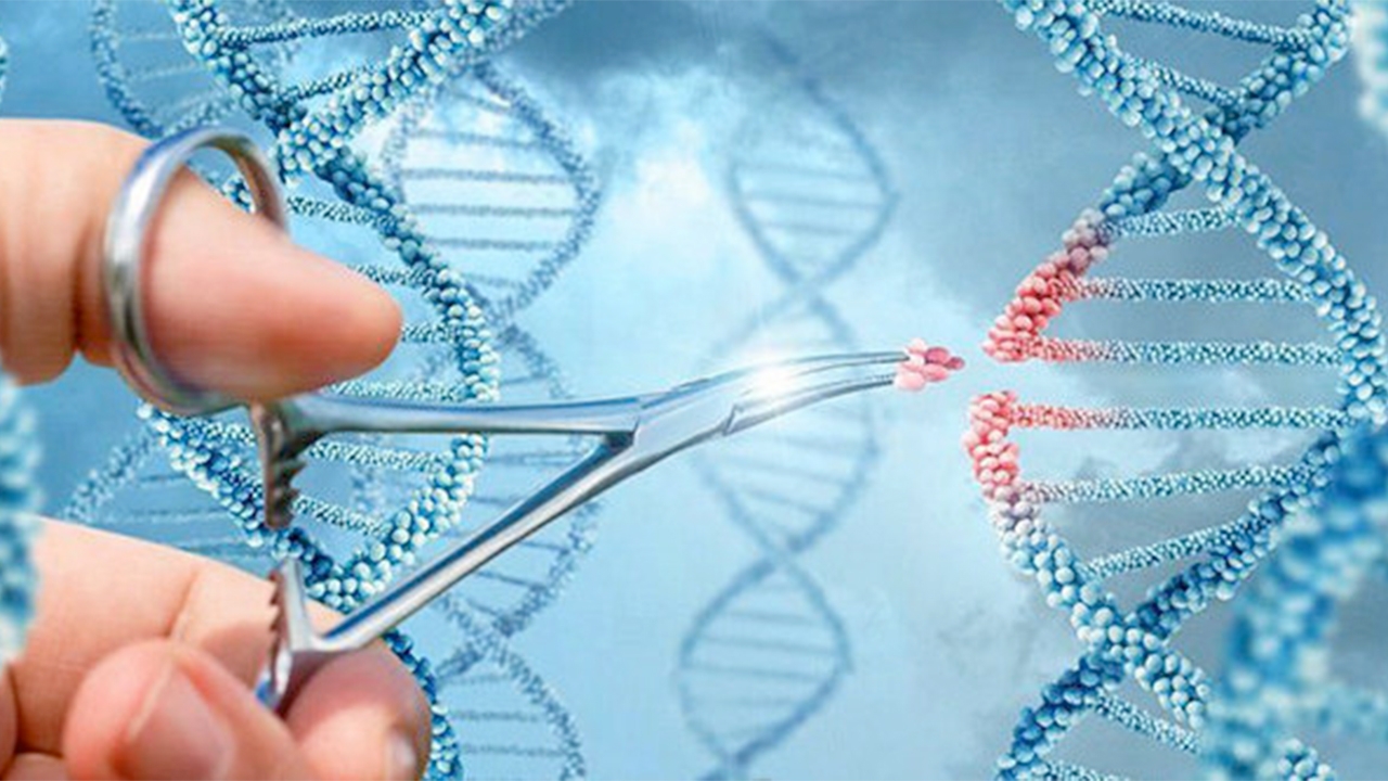 CRISPR-Cas9 ฉบับปรับปรุง