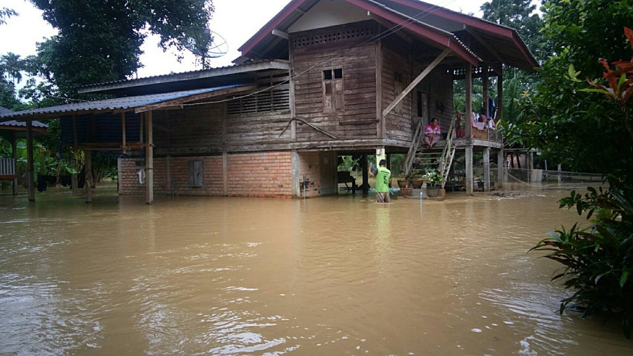 ตรังอ่วม ฝนตกหนัก น้ำทะลักกระทบ 160 ครัวเรือน สัตว์เลี้ยงถูกพัดตายเพียบ (คลิป)