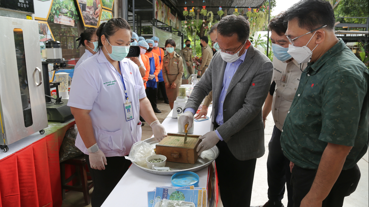 สั่ง "ราชทัณฑ์" ทำแม่พิมพ์แคปซูล "ฟ้าทะลายโจร" ใช้ในเรือนจำ-สร้างอาชีพ