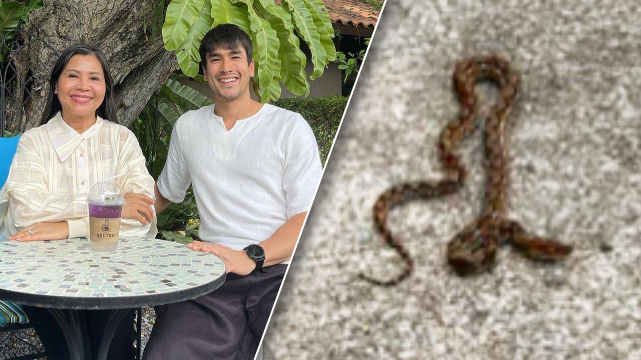 แม่แก้ว เหวอเจองูในบ้าน อยู่ตั้งแต่เล็กจนโต ณเดชน์ บอกอยู่ในตู้ถังแก๊ส