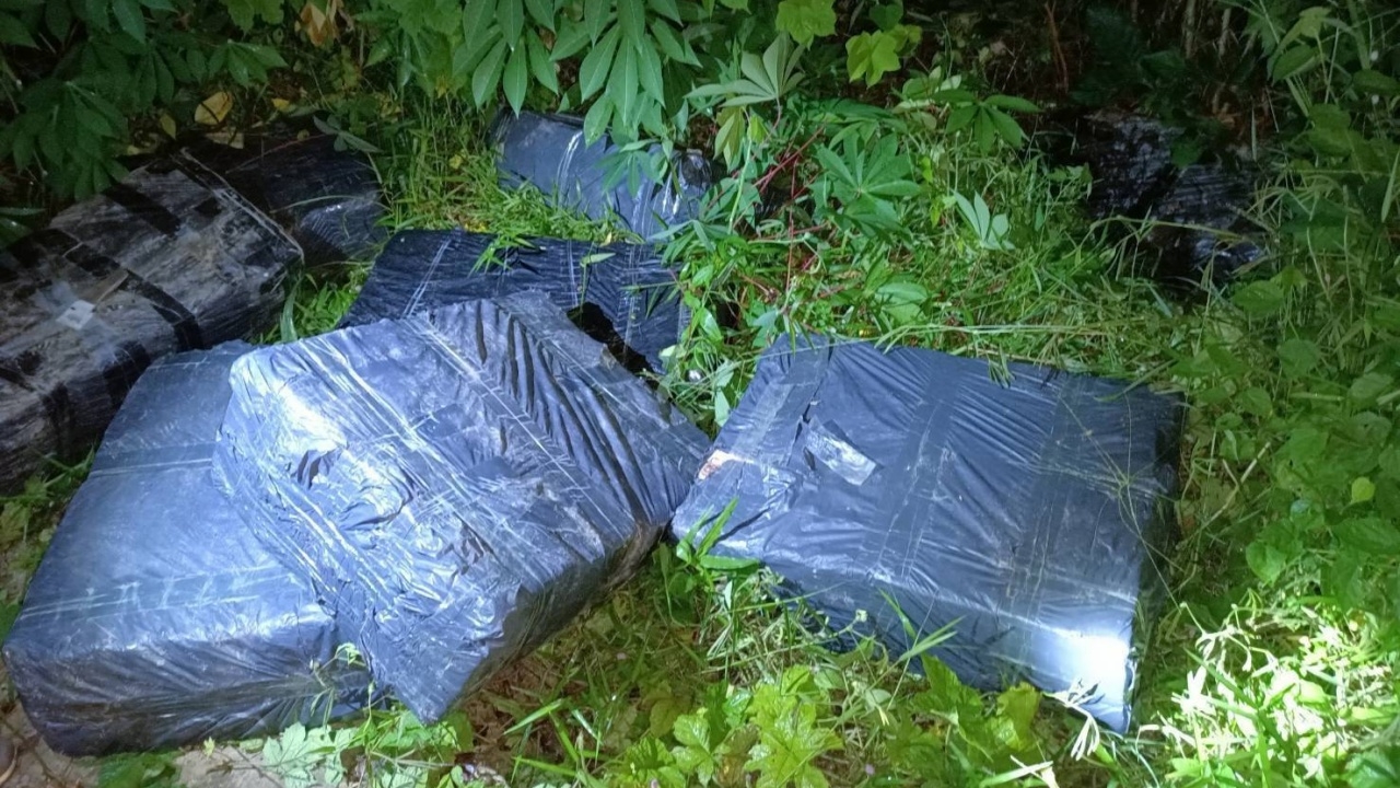 สกัดแก๊งขนกัญชาข้ามชาติ ได้ค่าจ้างเที่ยวละ 7 หมื่น เตรียมส่งลาดพร้าว