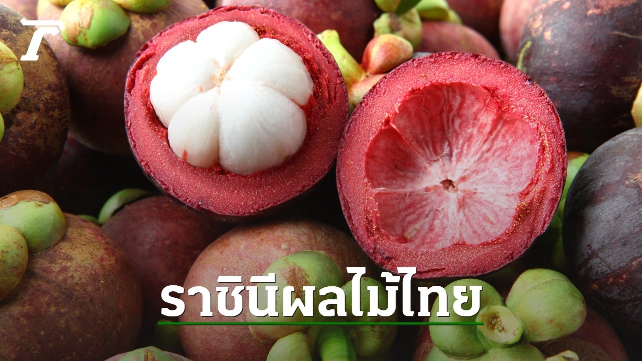 10 ประโยชน์ของมังคุด ราชินีแห่งผลไม้ไทย หากินง่ายตามฤดูกาล