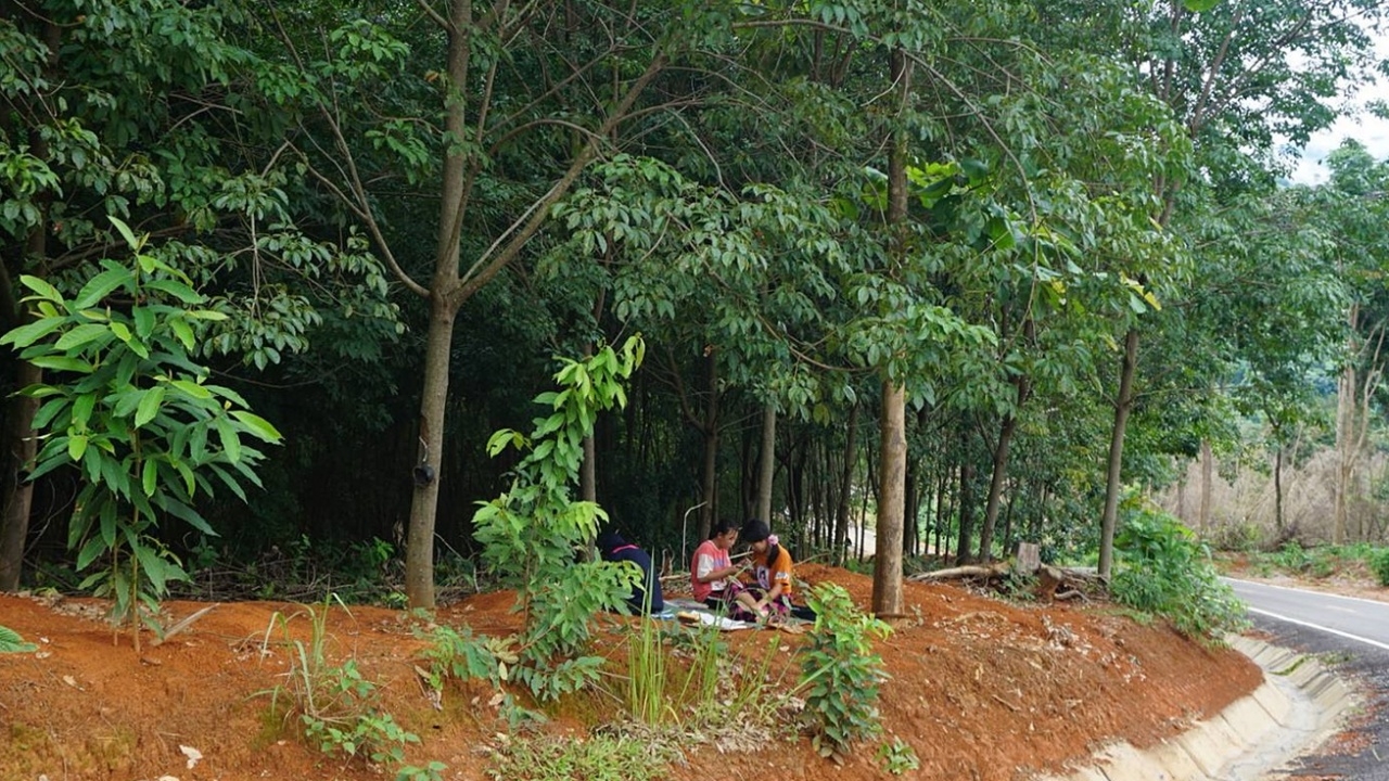 เด็กม้งดีใจ กลับมาเรียนที่โรงเรียน เรียนออนไลน์ลำบาก ต้องเดินหาสัญญาณ