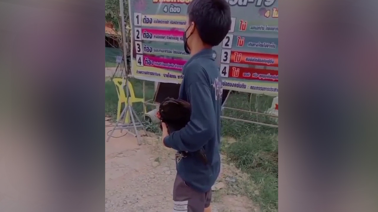 เปิดใจ หนุ่มอุ้มไก่ตัวเป็นๆ มาที่ศูนย์กักกันฯ หลังเพื่อนรักอยากต้มไก่กินเอง (คลิป)