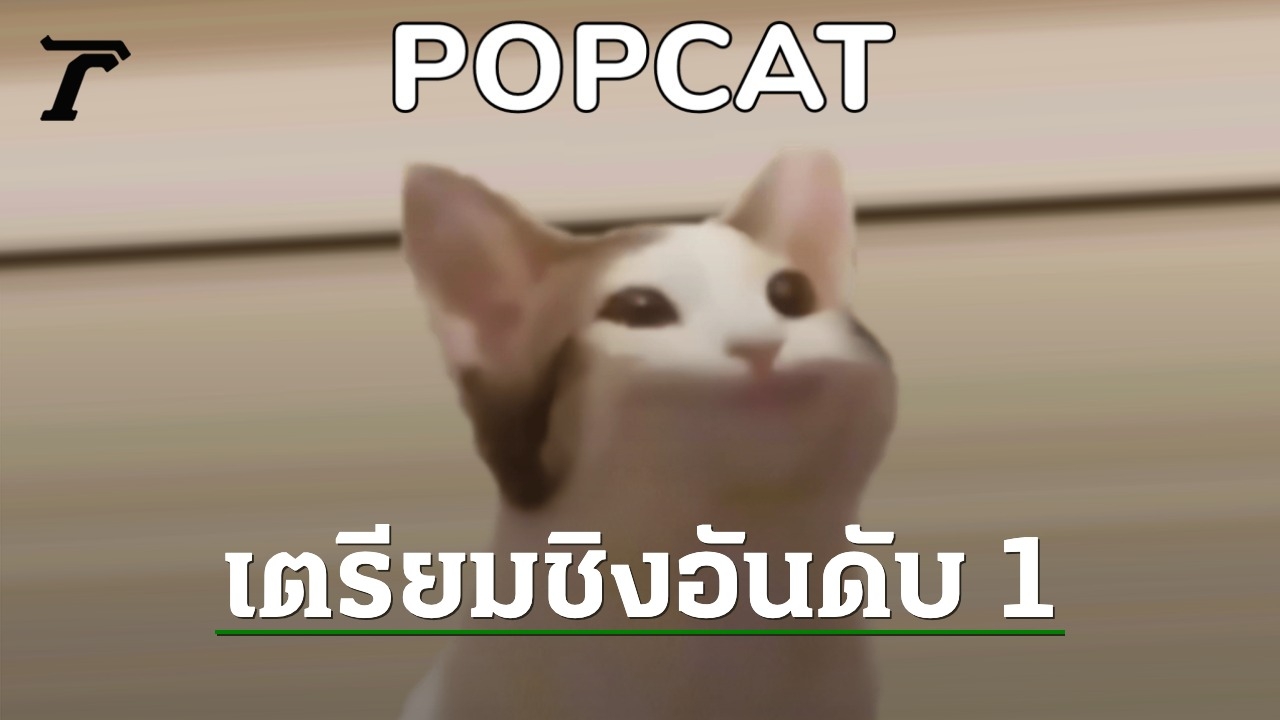 อัปเดต 10 อันดับเกม POPCAT คนไทยจิ้มแมวรัวๆ พุ่งติดอันดับ ...