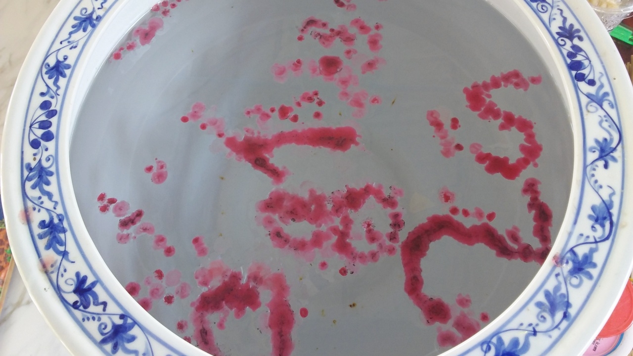 นักคำนวณแห่ส่อง "เลขเด็ด" ไอ้ไข่ วัดศรีทรงธรรม เสี่ยงโชคงวด 16/8/64 (คลิป)