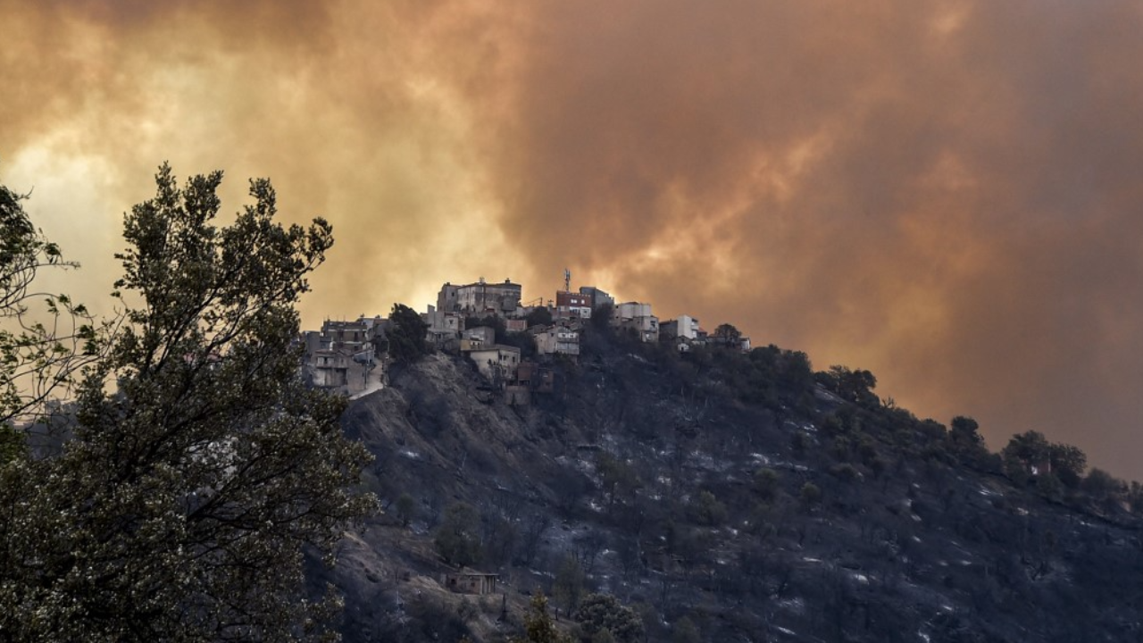 ไฟป่าแอลจีเรียลามหนัก คร่าแล้ว 65 ศพ รมต.ลั่นมีคนวางเพลิง