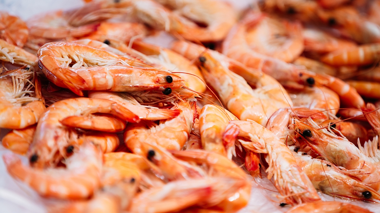 มหากาพย์เรื่องกุ้ง