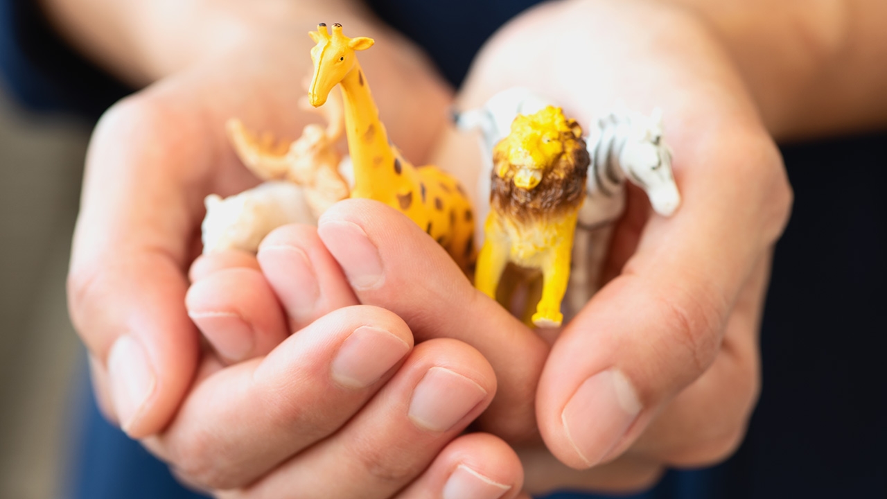 ผลักดันกฎหมายลูก พ.ร.บ.สงวนและคุ้มครองสัตว์ป่า พ.ศ.2562